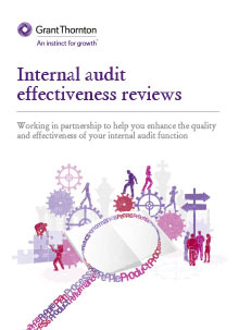Audit dissertation effectiveness government in internal