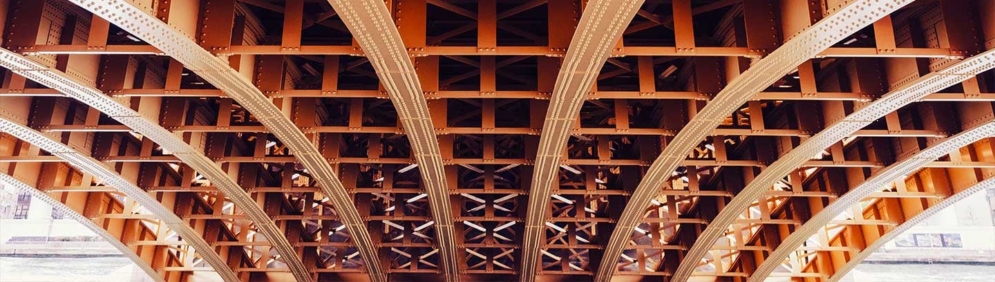 insight featured image