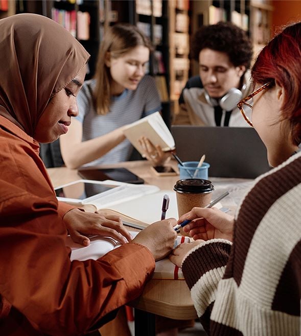 Higher education sector development report 2025