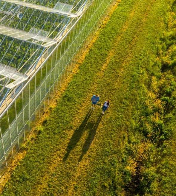 Scaling sustainability: How the UK mid-market is future-proofing growth