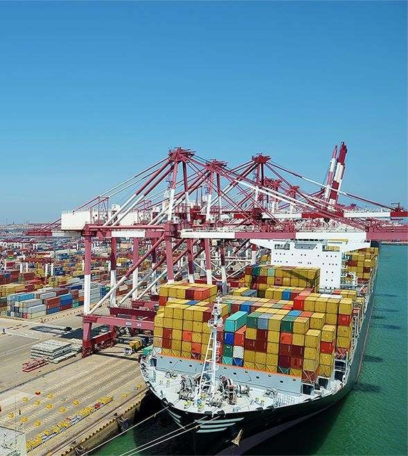 Tariffs: Transforming trade disruption into sustainable success