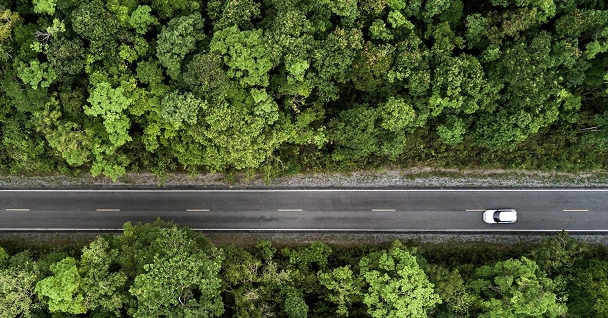 International Tax, Regulation & Compliance