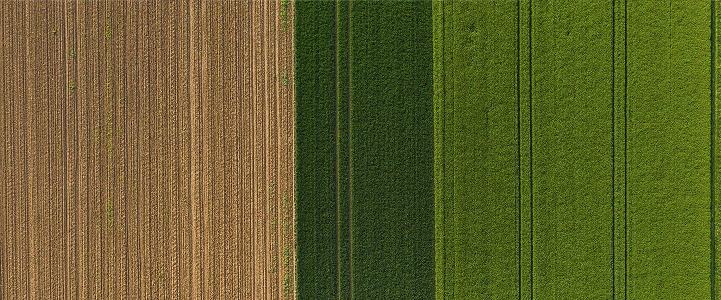 Sustainability Business Specialist MSc