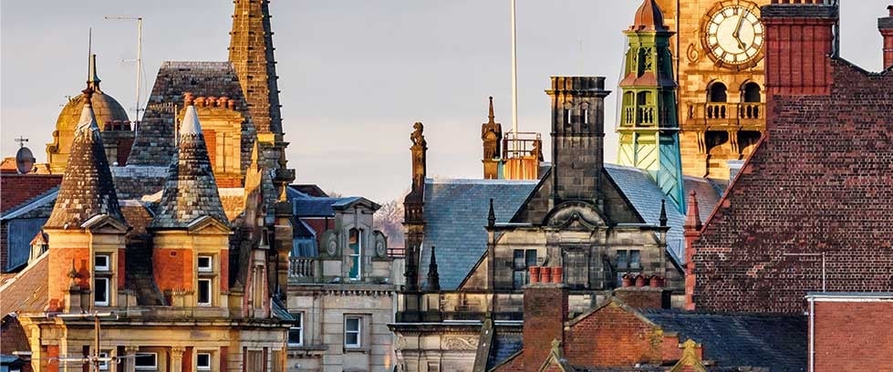 insight featured image