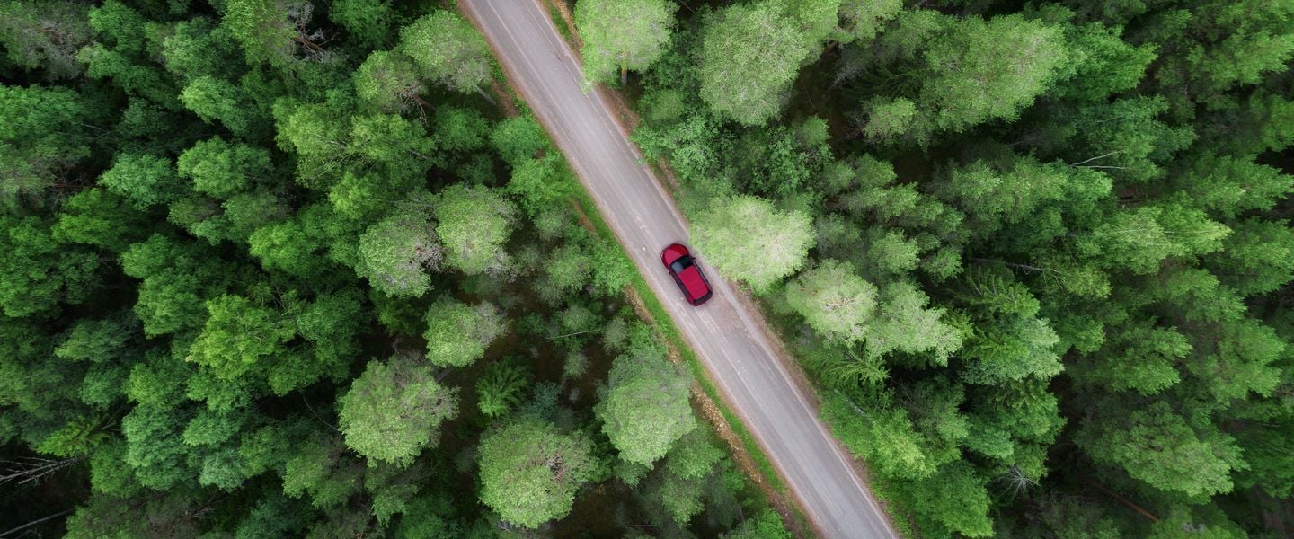 insight featured image