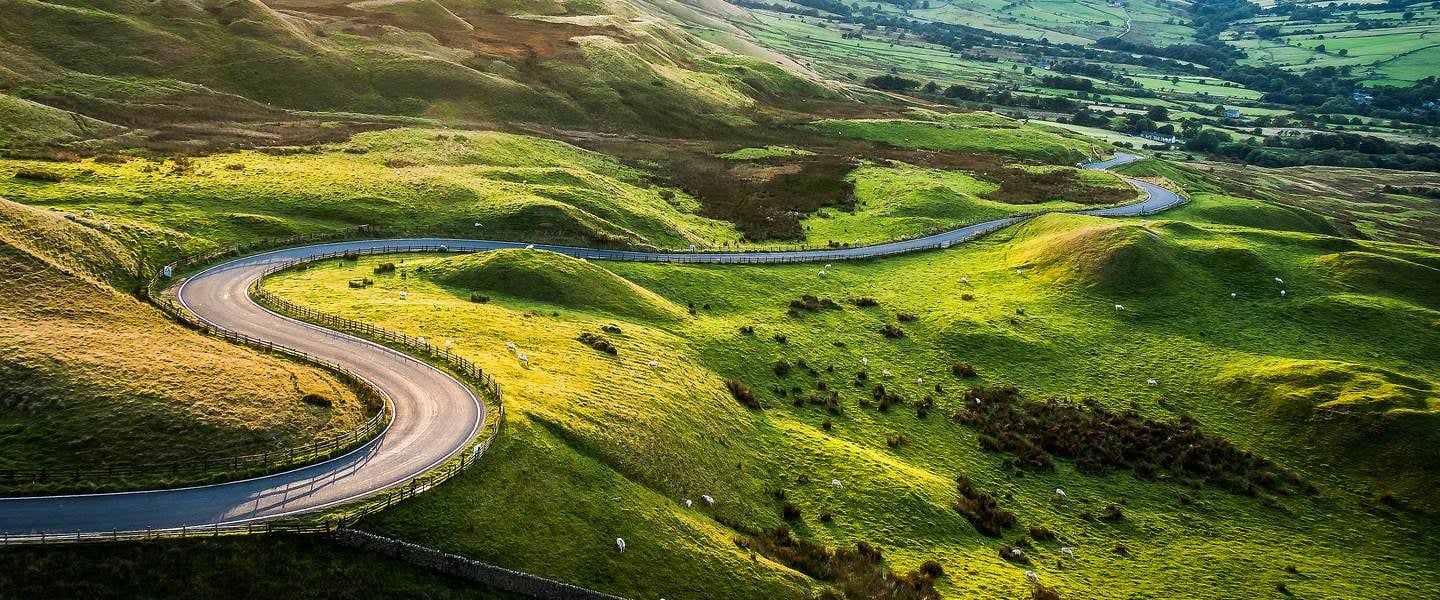 insight featured image