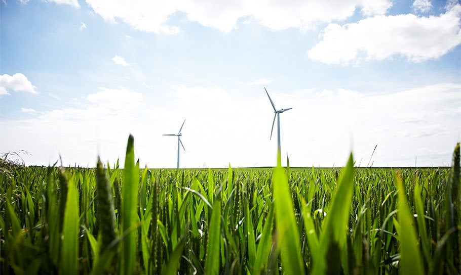 Green growth: finding opportunities in ESG