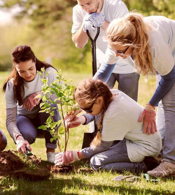 Annual financial reporting: Charitable company illustrative accounts