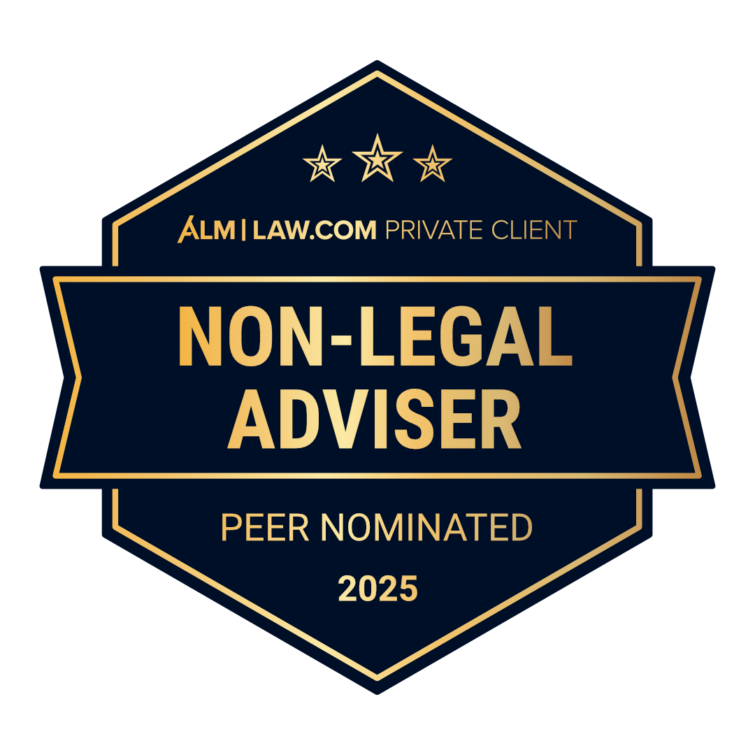 Non legal adviser peer nominated 2025