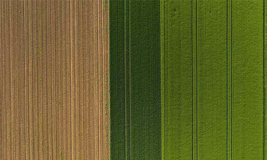 green field image