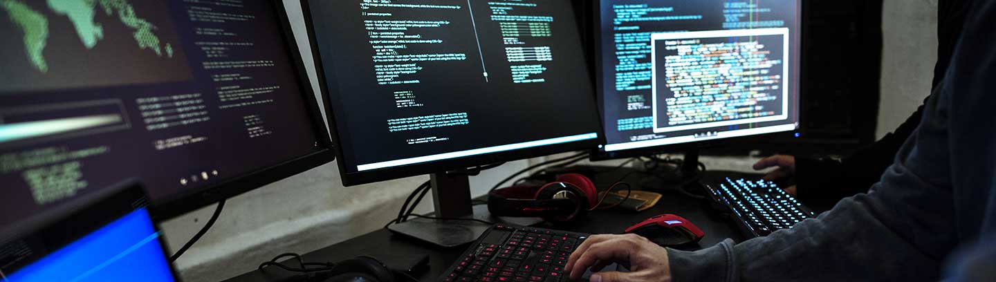 Software engineers