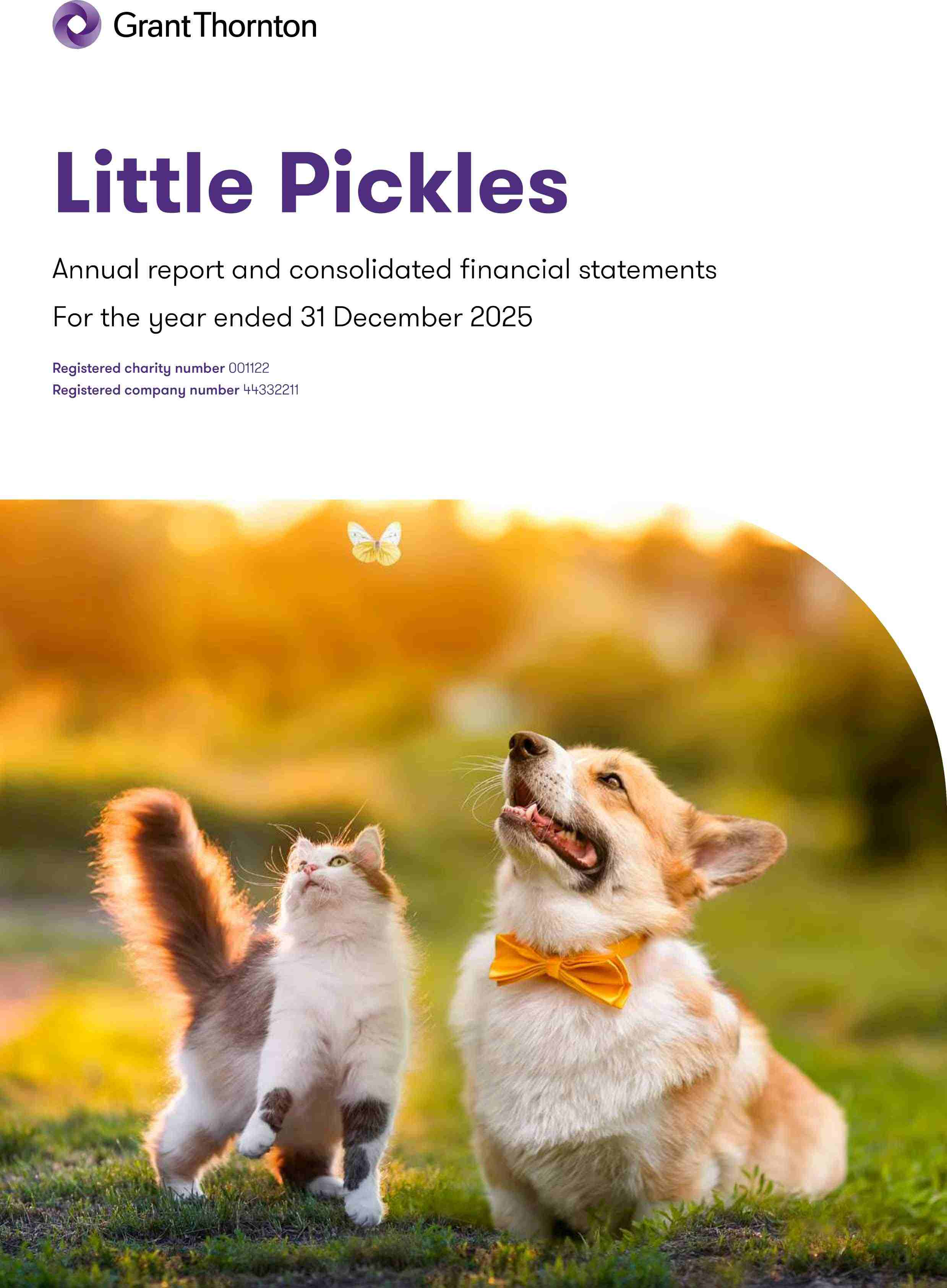 Charity Illustrative Accounts