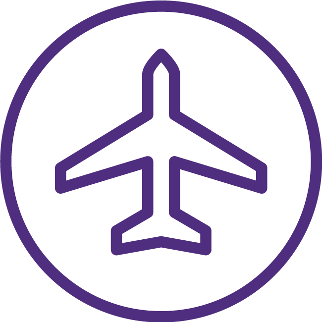 purple airplane icon