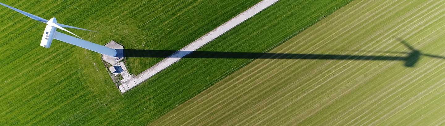 green field image