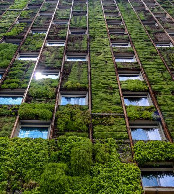 Turning climate risk into strategic insight