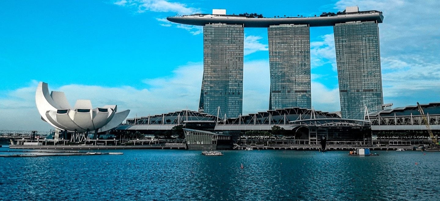 insight featured image