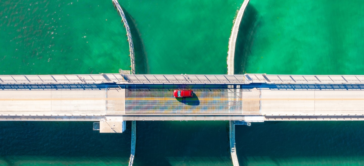 insight featured image