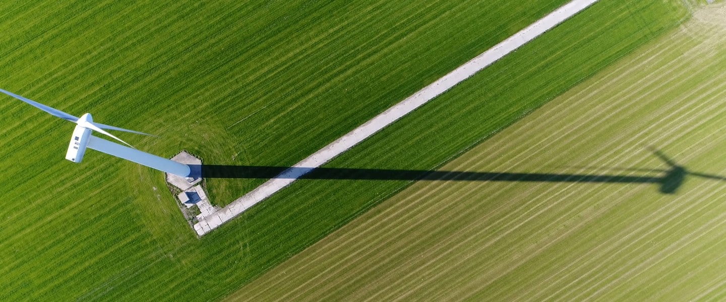 insight featured image