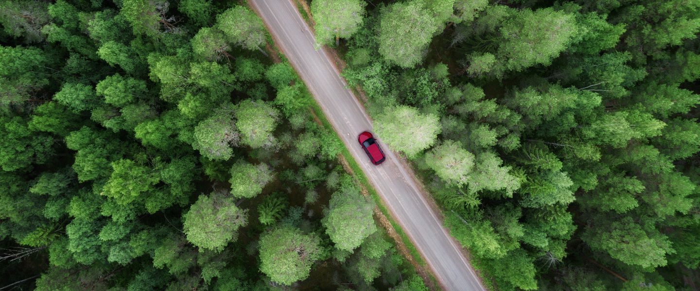 insight featured image