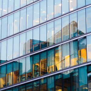 International Business Report H2 2021