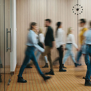 Inclusion and diversity