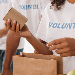 Voluntary Work