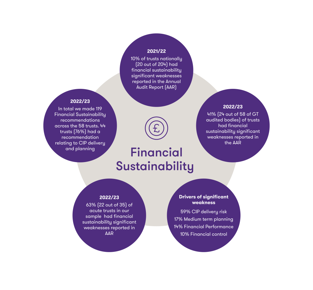 infographic shows a summary of financial sustainability findings from VfM audits