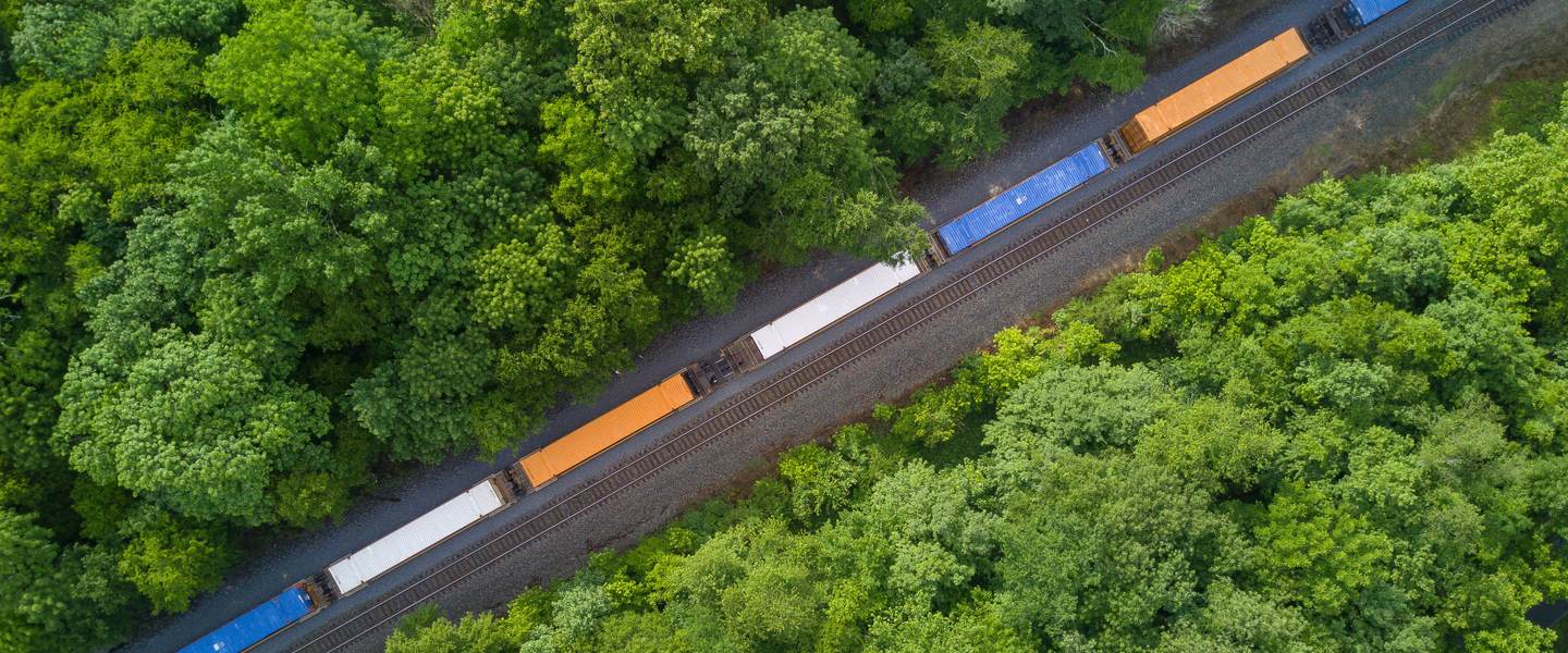 insight featured image