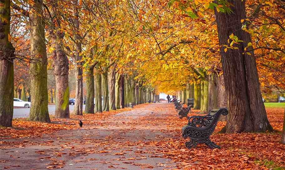 Autumn Statement: what could we see?