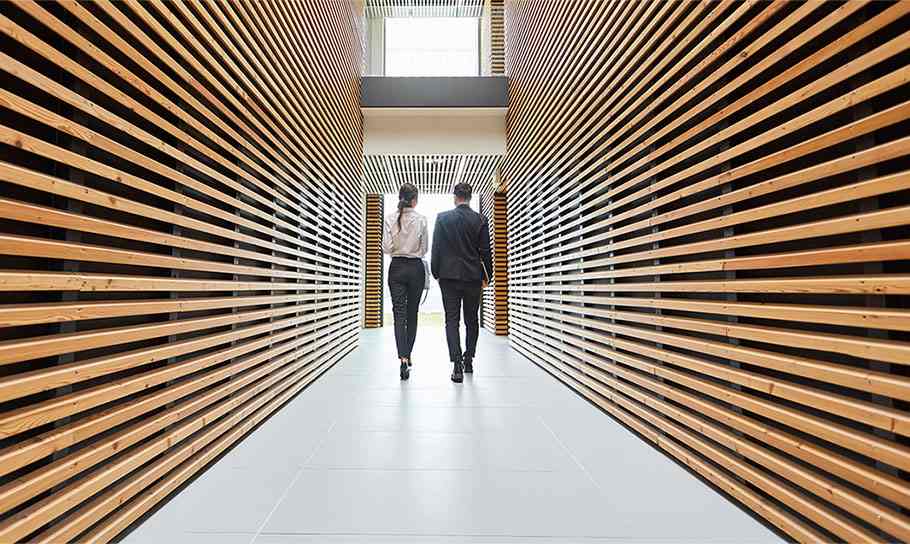 Two Colleagues Walking Along Corridor