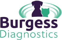 Burgess Diagnostics Limited