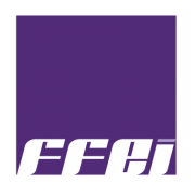 FFEI Limited