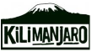 Kilimanjaro Holdings Limited