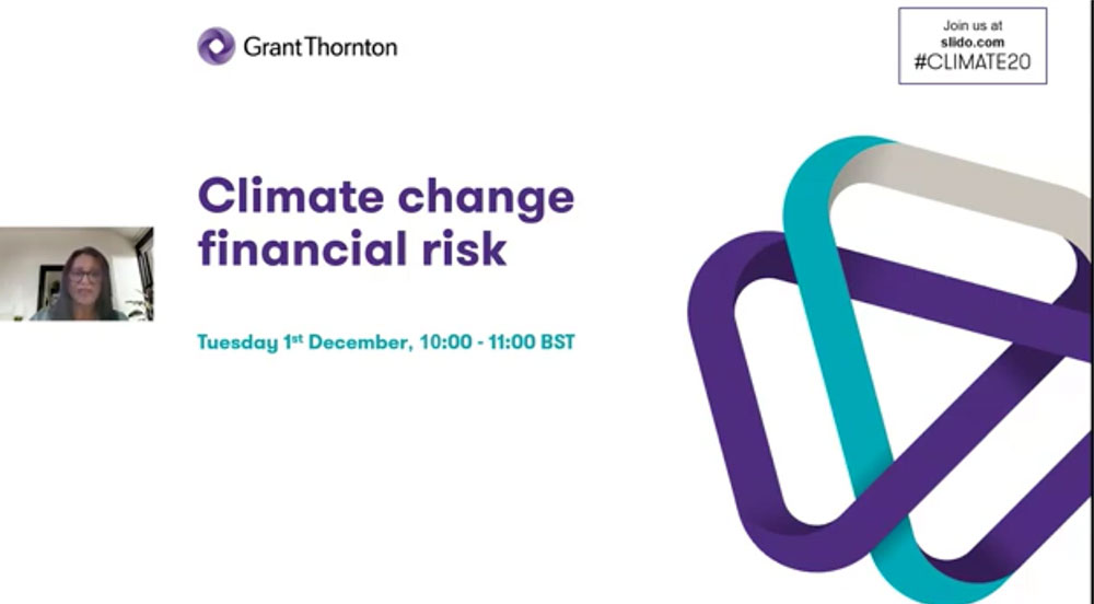 Financial services climate risk webinar series | Grant Thornton