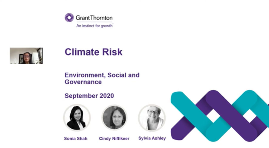 Financial services climate risk webinar series | Grant Thornton