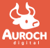Auroch Digital Limited