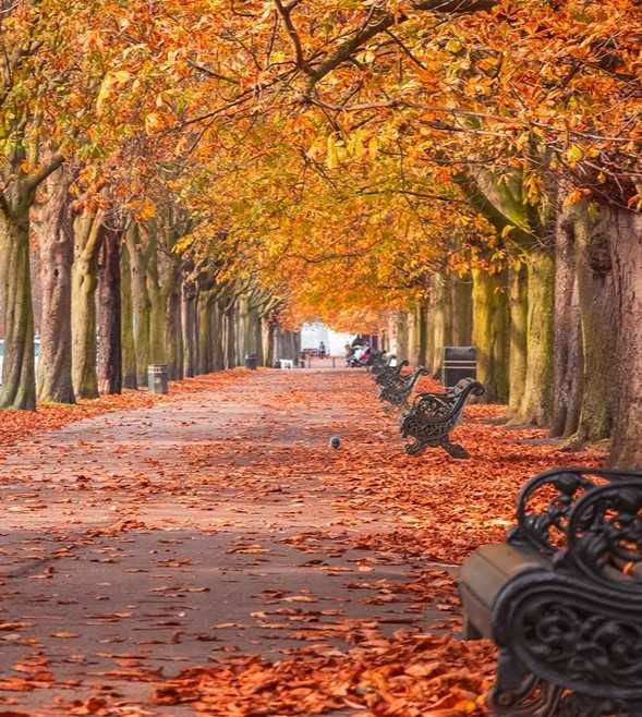 Autumn restructuring outlook 2025